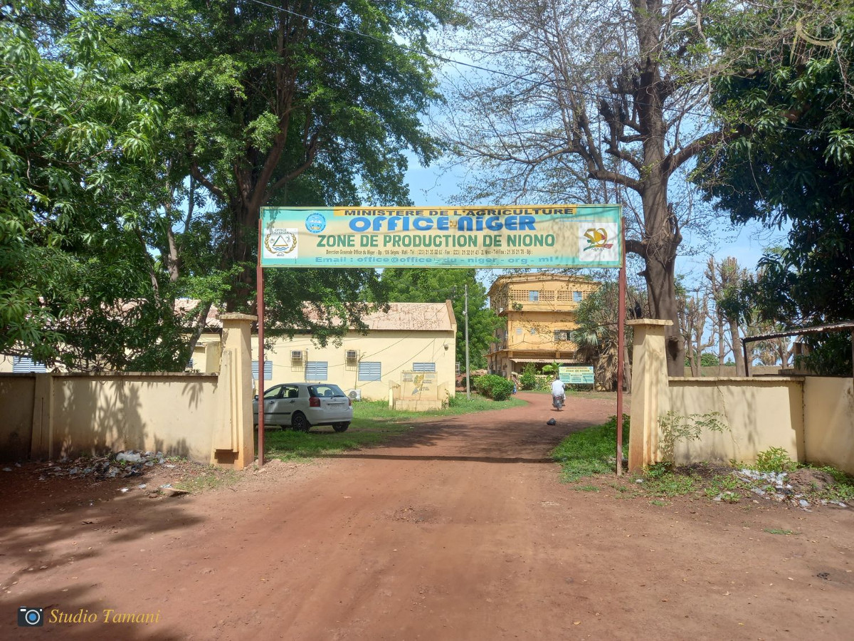 Office du Niger  Cap sur la réhabilitation de 4200 hectares à N’DEBOUGOU 4